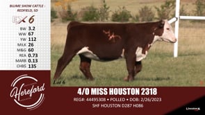 Lot #6 - 4/0 MISS HOUSTON 2318