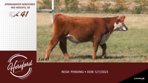 Lot #41 - LOT 41