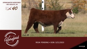 Lot #40 - LOT 40
