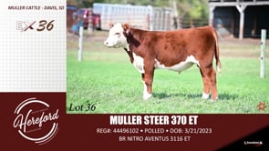 Lot #36 - MULLER STEER 370 ET