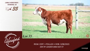 Lot #35 - LOT 35