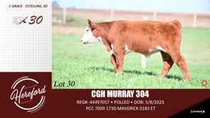 Lot #30 - CGH MURRAY 304