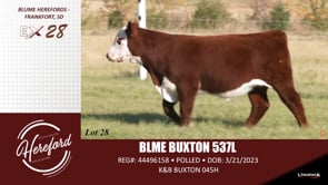 Lot #28 - BLME BUXTON 537L