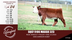 Lot #24 - SQCF 9106 MAGGIE 323