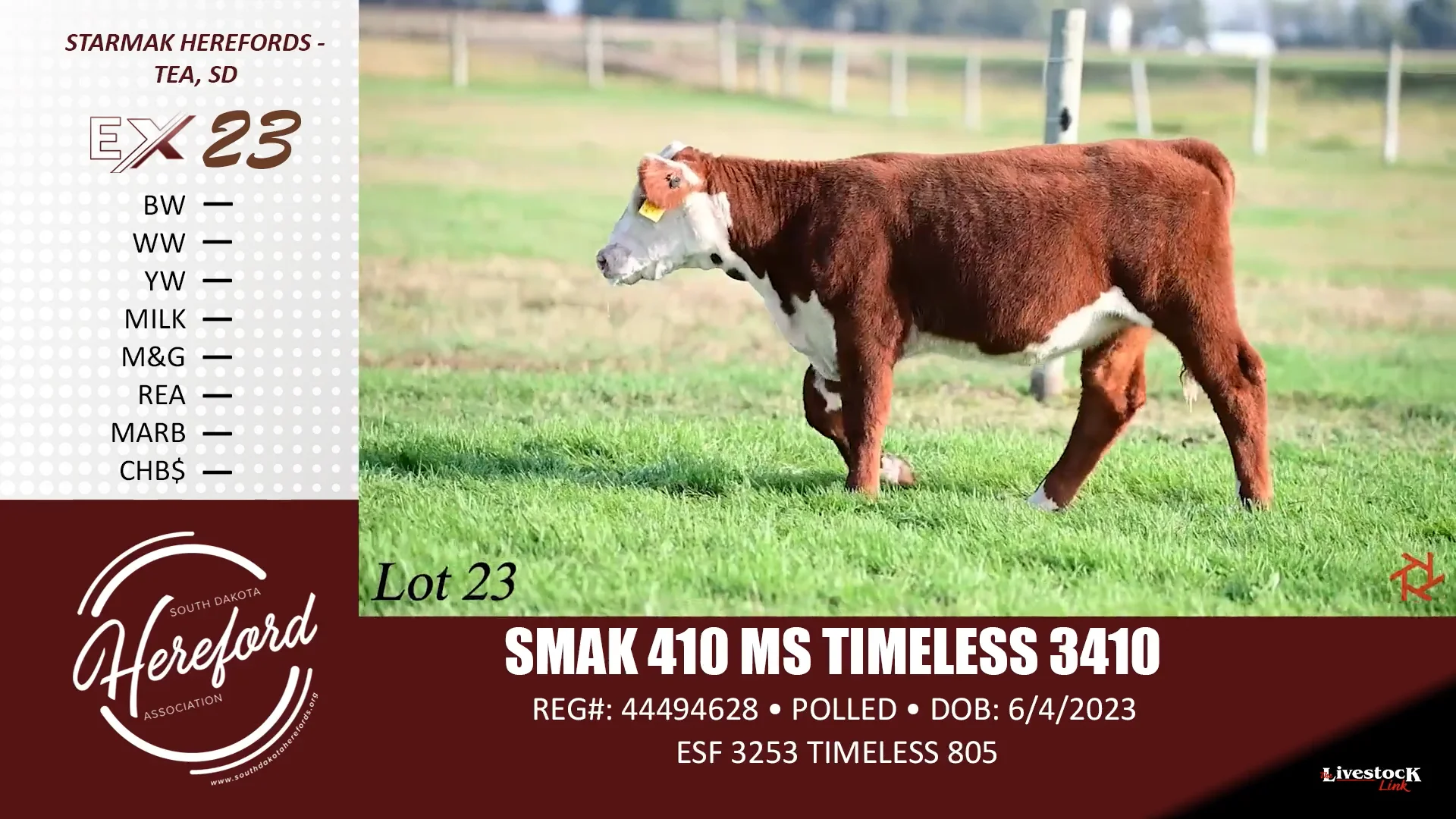 SDHA Excellence Sale Lot 23 on Vimeo