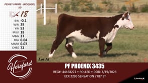 Lot #18 - PF PHOENIX 3435