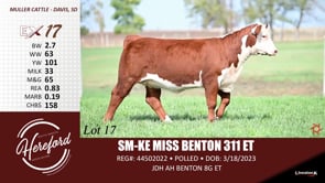 Lot #17 - SM-KE MISS BENTON 311 ET