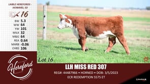 Lot #16 - LLH MISS RED 307