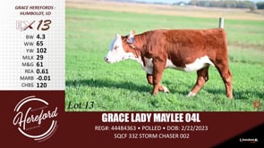Lot #13 - GRACE LADY MAYLEE 04L