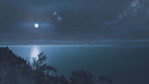 social header