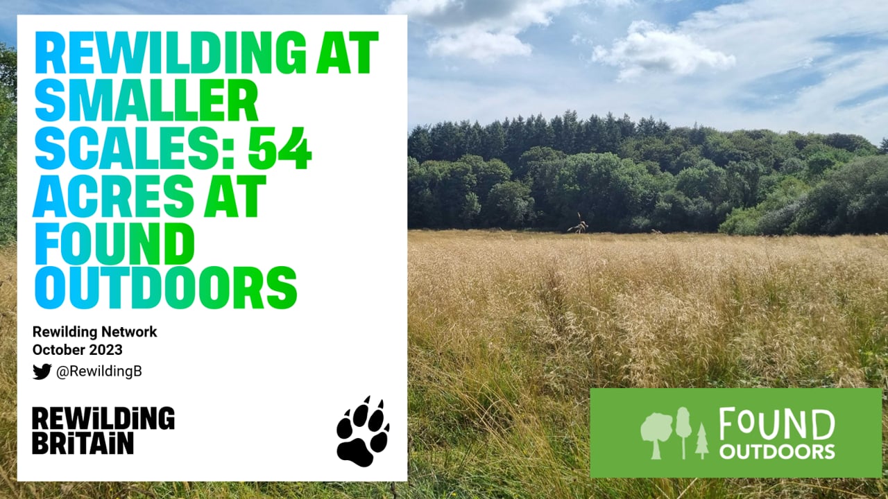 Rewilding Network - Rewilding at smaller scales: 54 acres at Found Outdoors