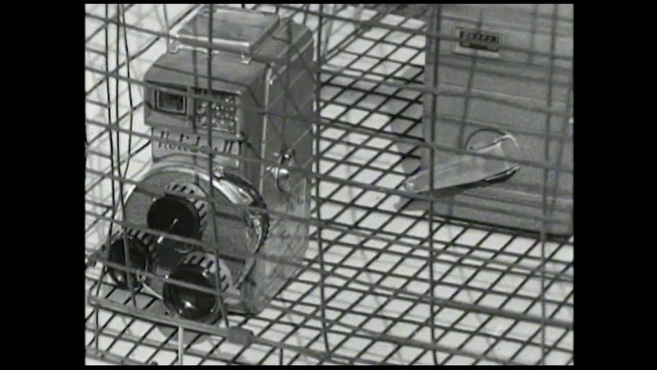 Fifty Feet that Shook the World