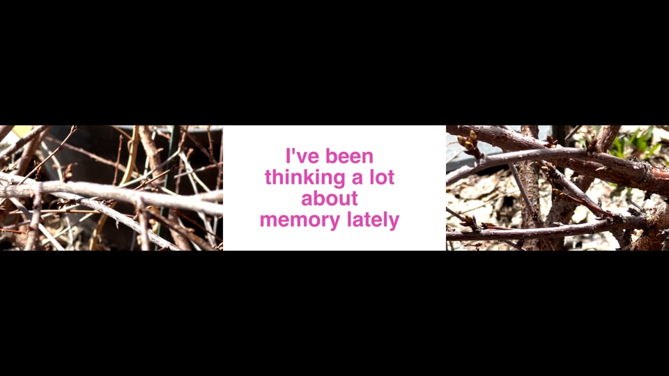 Memory Rituals [Part One]: Memory of Trees