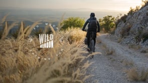 Related Embedded Video Item Thumbnail