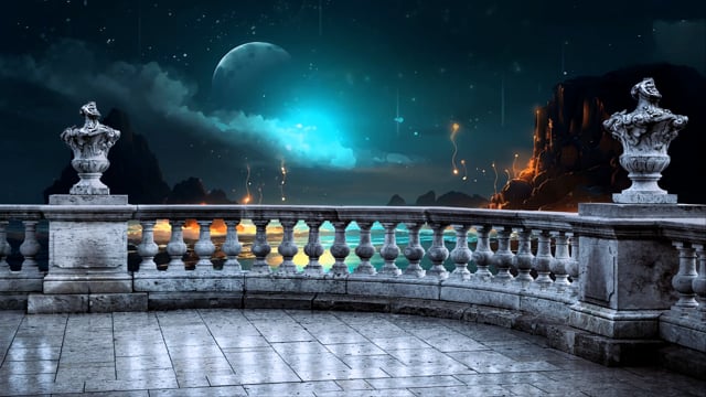 Turtle, Balcony, Night. Free Stock Video - Pixabay