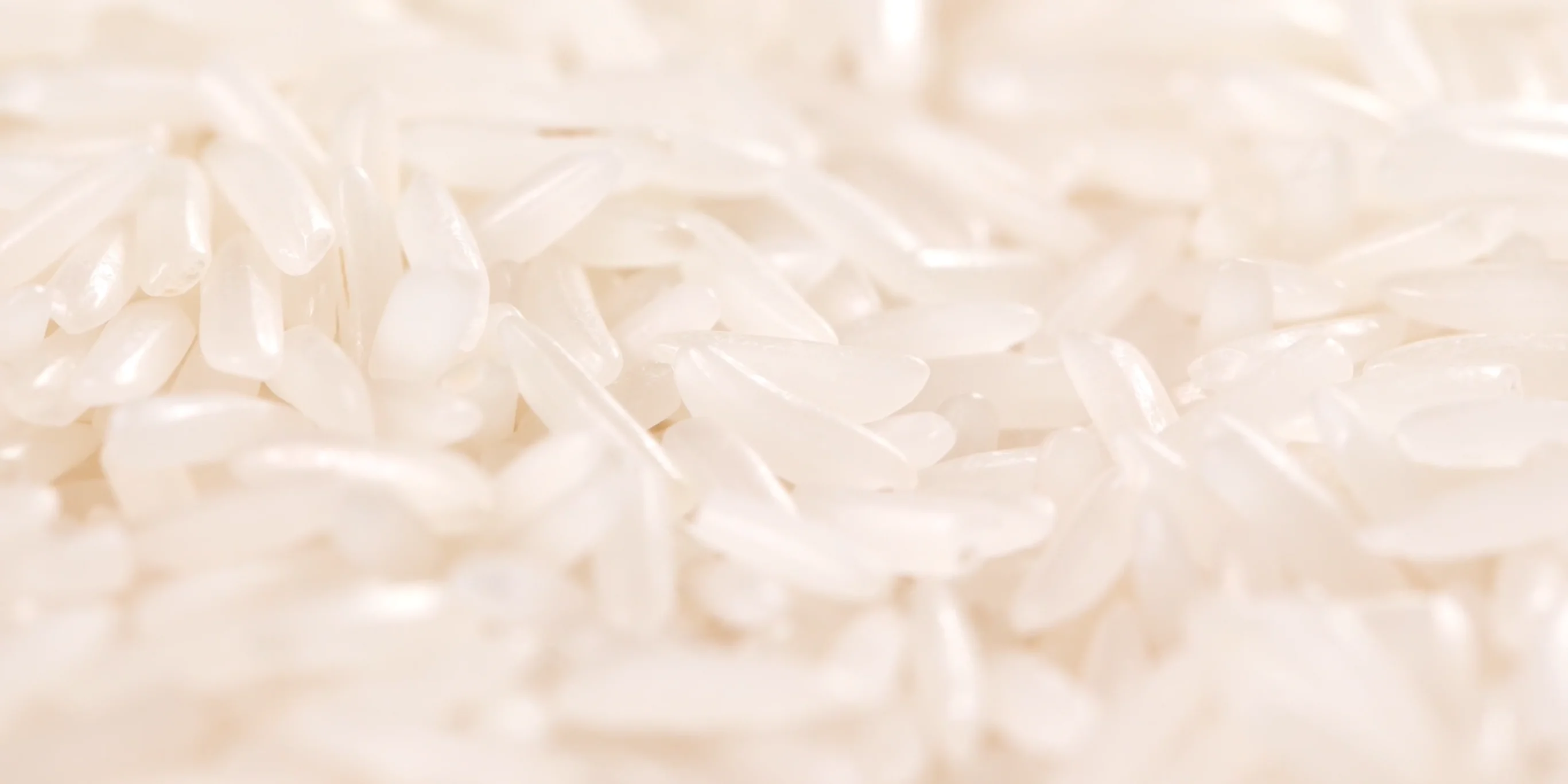 White Rice - d'Annam