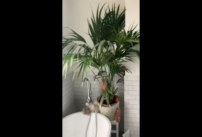 Double room with en-suite and amazing view  Main Photo