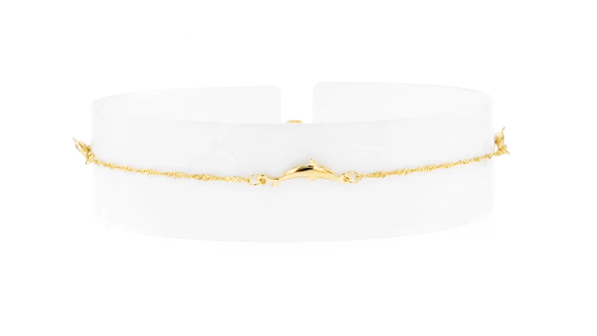 14kt Yellow Gold Dolphin Anklet on Vimeo