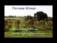 Sparkling wine making day - Torview wines