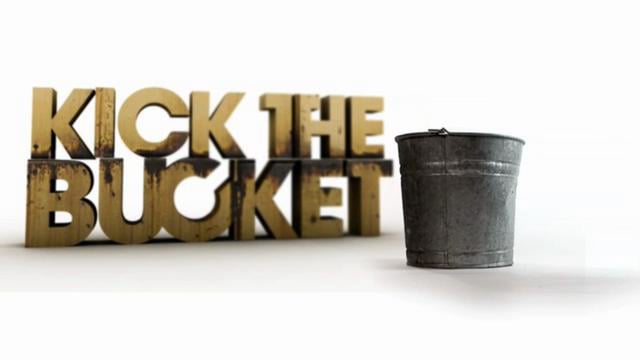 Kicked the bucket