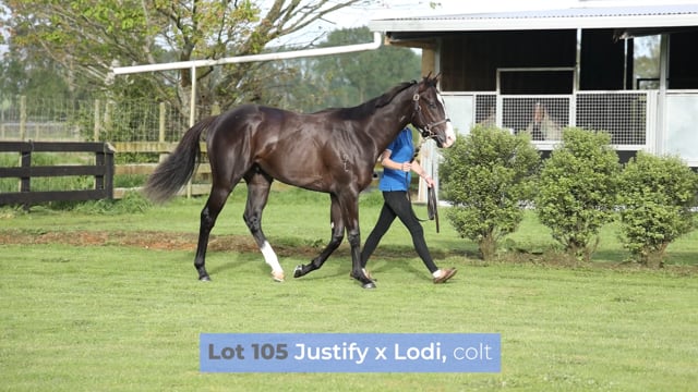 Lot 105