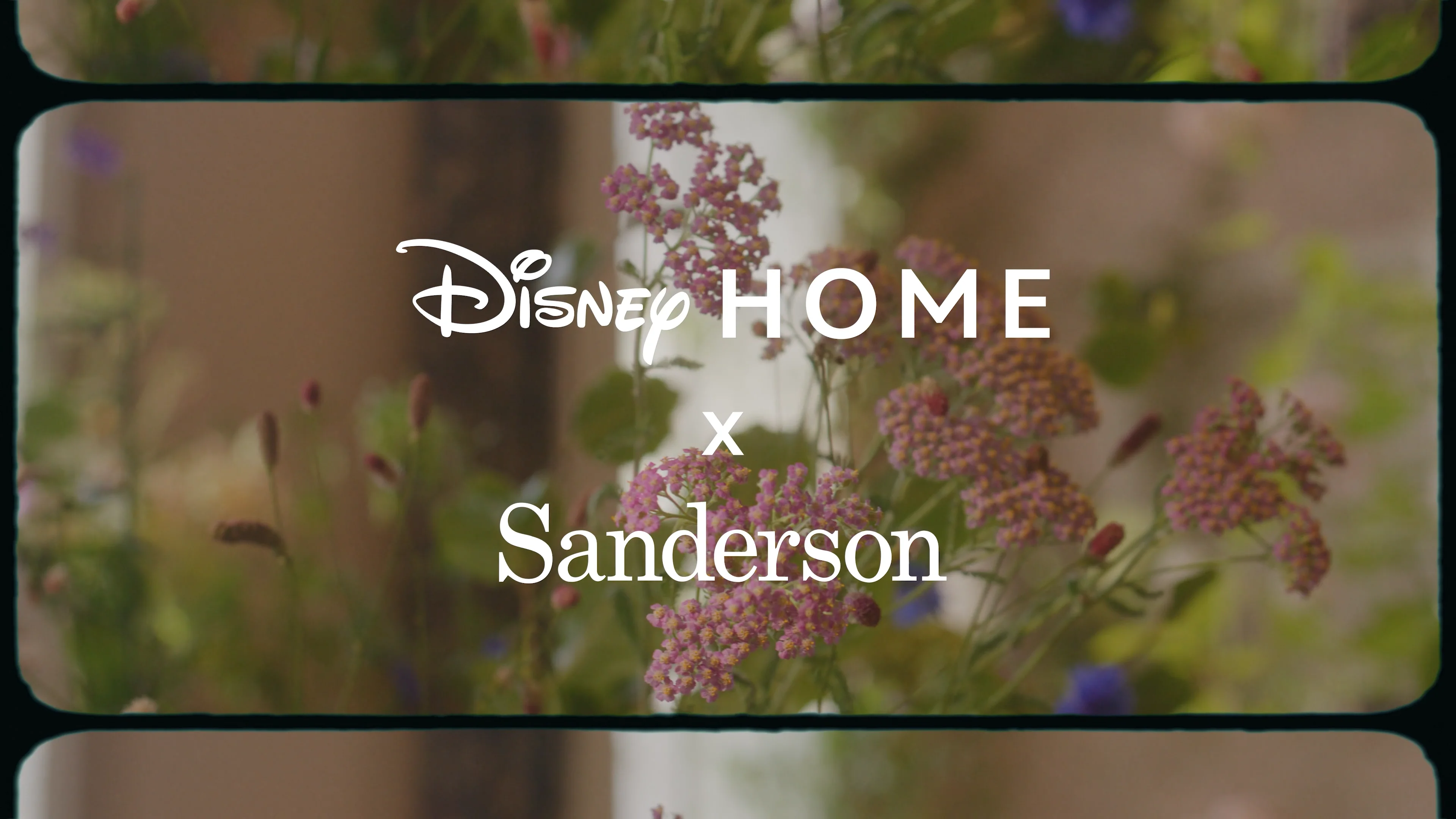 Disney Home X Sanderson