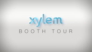 Xylem