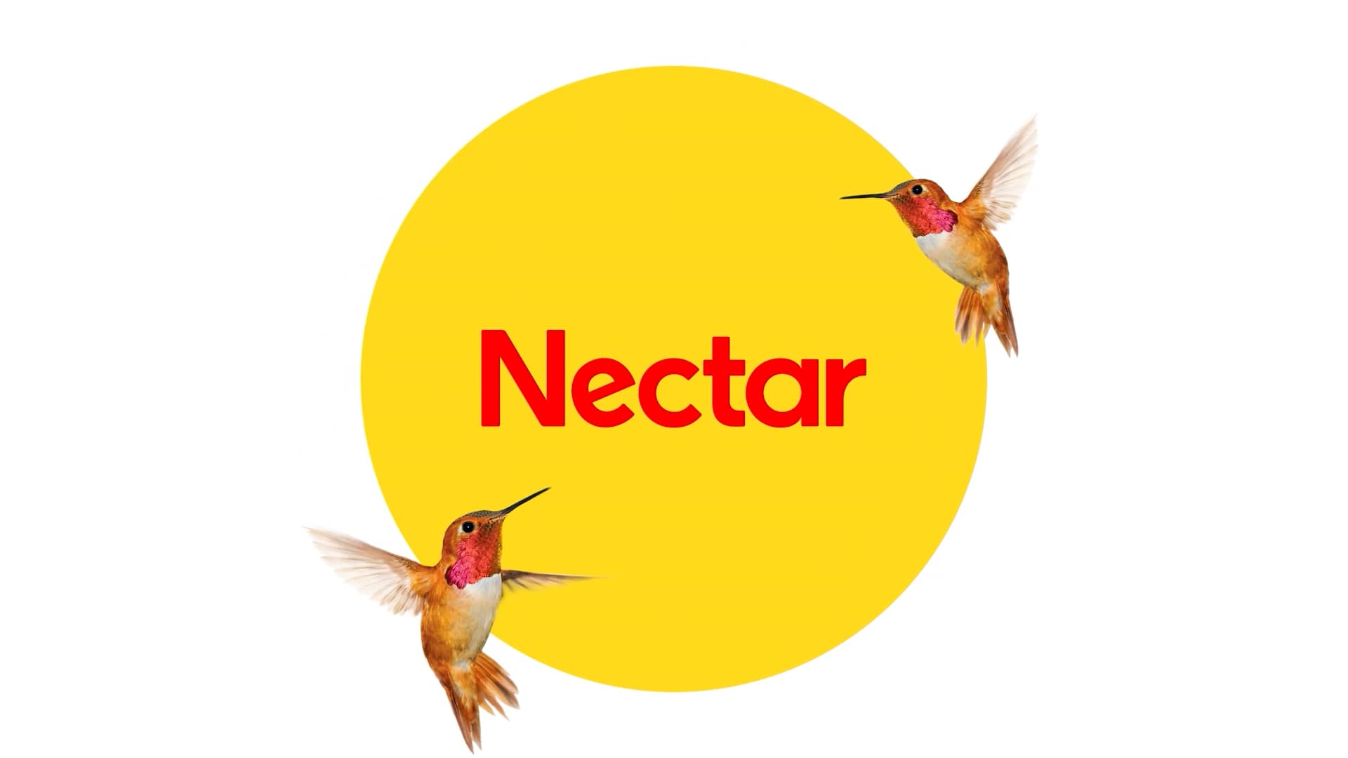 Nectar Video FINAL Revised on Vimeo