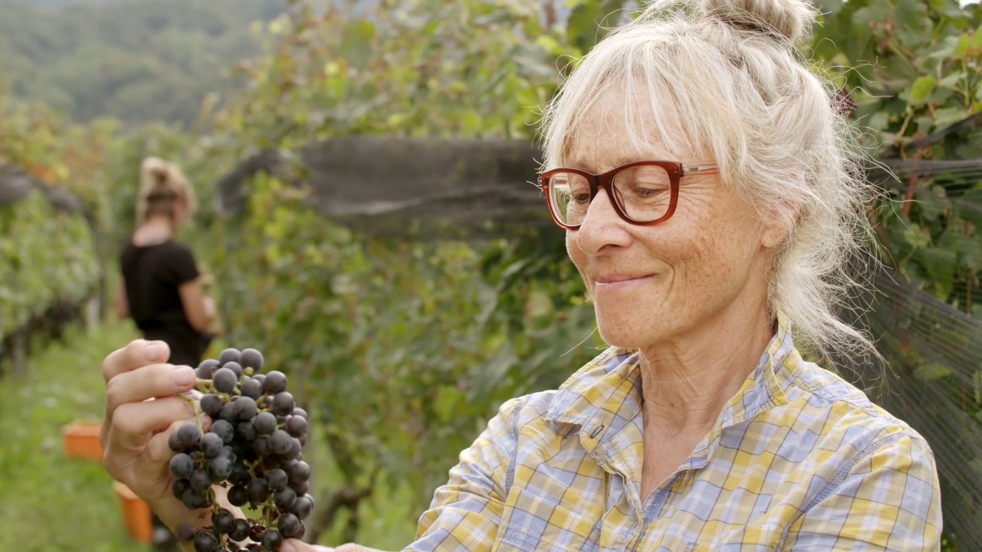 IN VINO VERITAS – CANTINA BLASS