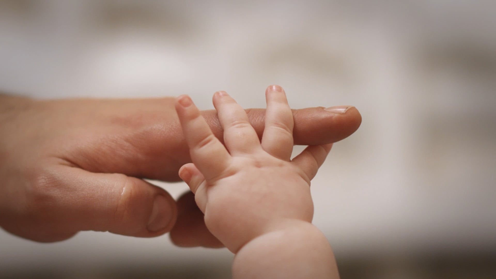 PREGNOLIA – Frühgeburten voraussagen