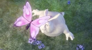 Test 11 on Vimeo