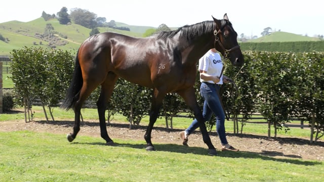 Lot 297
