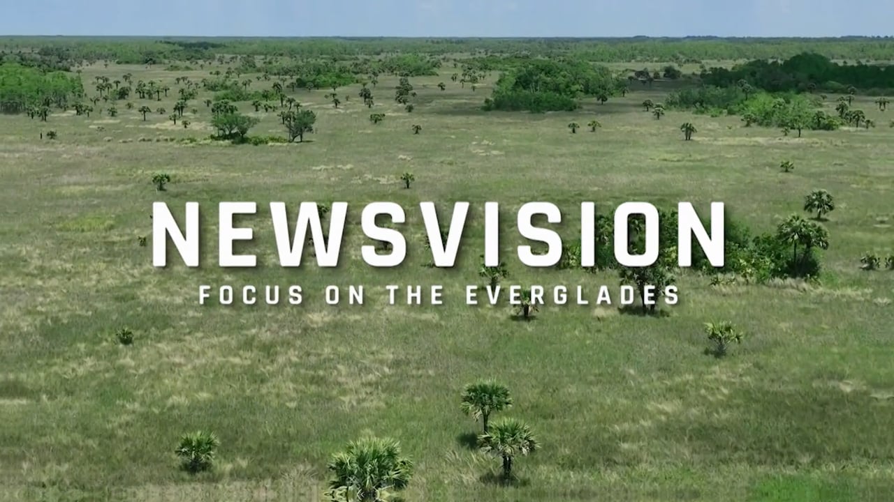 NewsVision: Focus on the Everglades Trailer