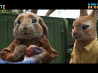 Adventure (with Bumper)