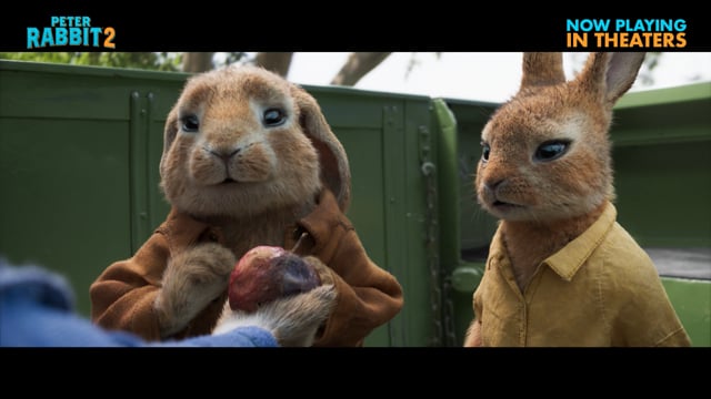 Adventure (with Bumper)