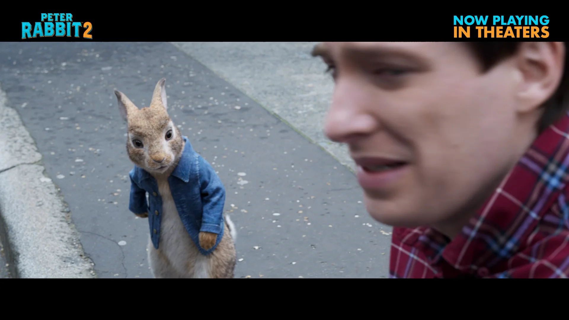 Peter Rabbit 2: The Runaway | Moving | TV15 on Vimeo