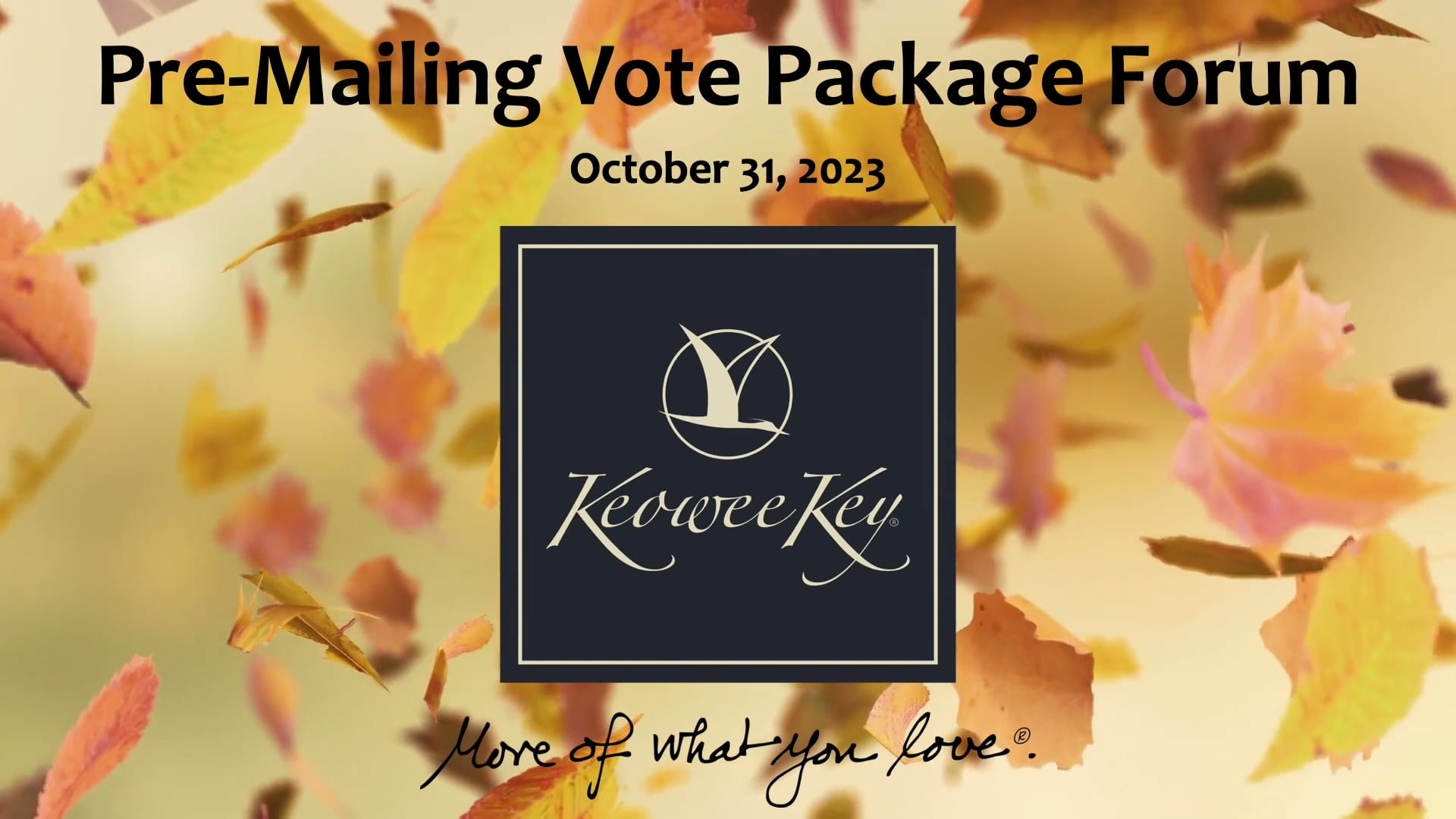 Keowee Key Forum Videos Pre Mailing Vote Package Forum For 2024 On Vimeo   1747321211 79cee5b2229d2d460340f44d4979cf829bbbb3ad6636715d18e1c07fd69c9009 D