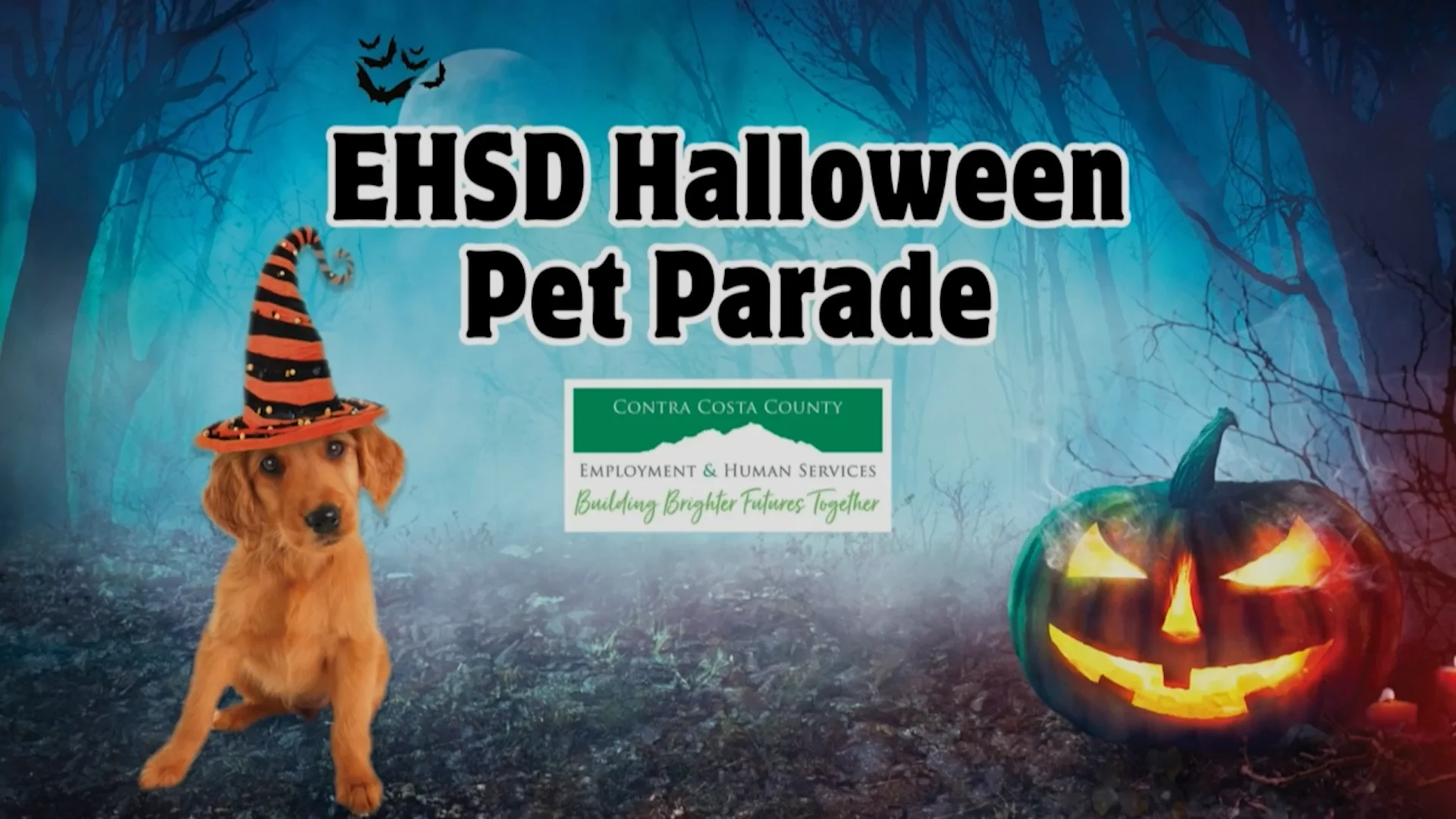 EHSD Halloween Pet Parade on Vimeo