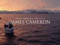 Incredible Review :30