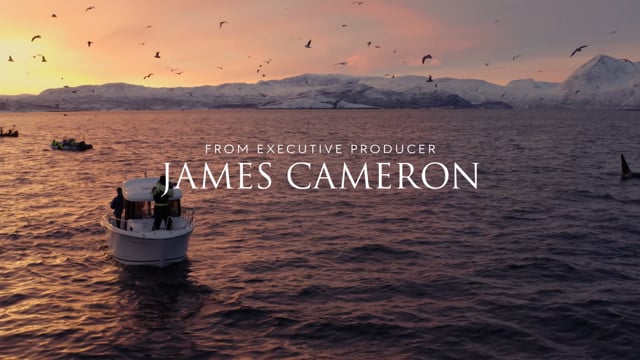 Incredible Review :30