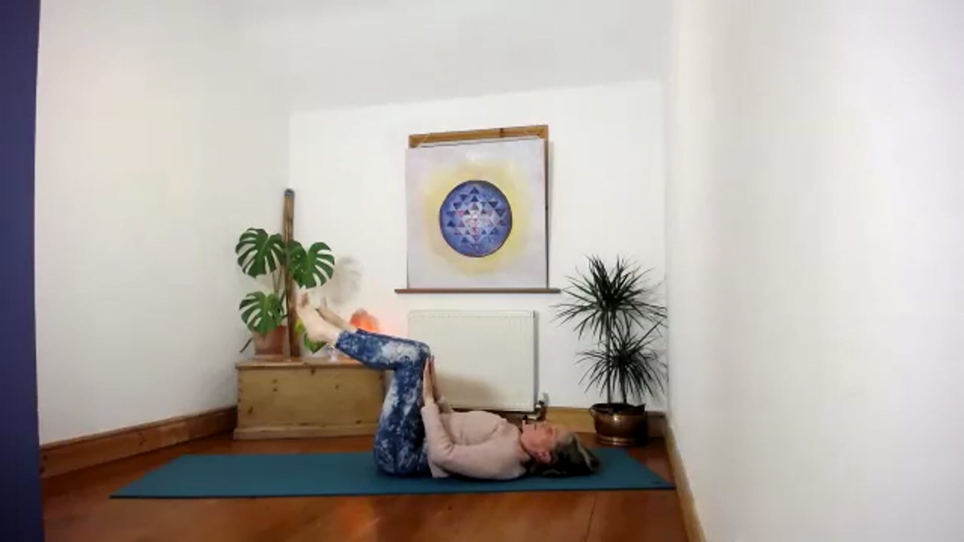 Multilevel wk1 Core Posture and Pelvic floor