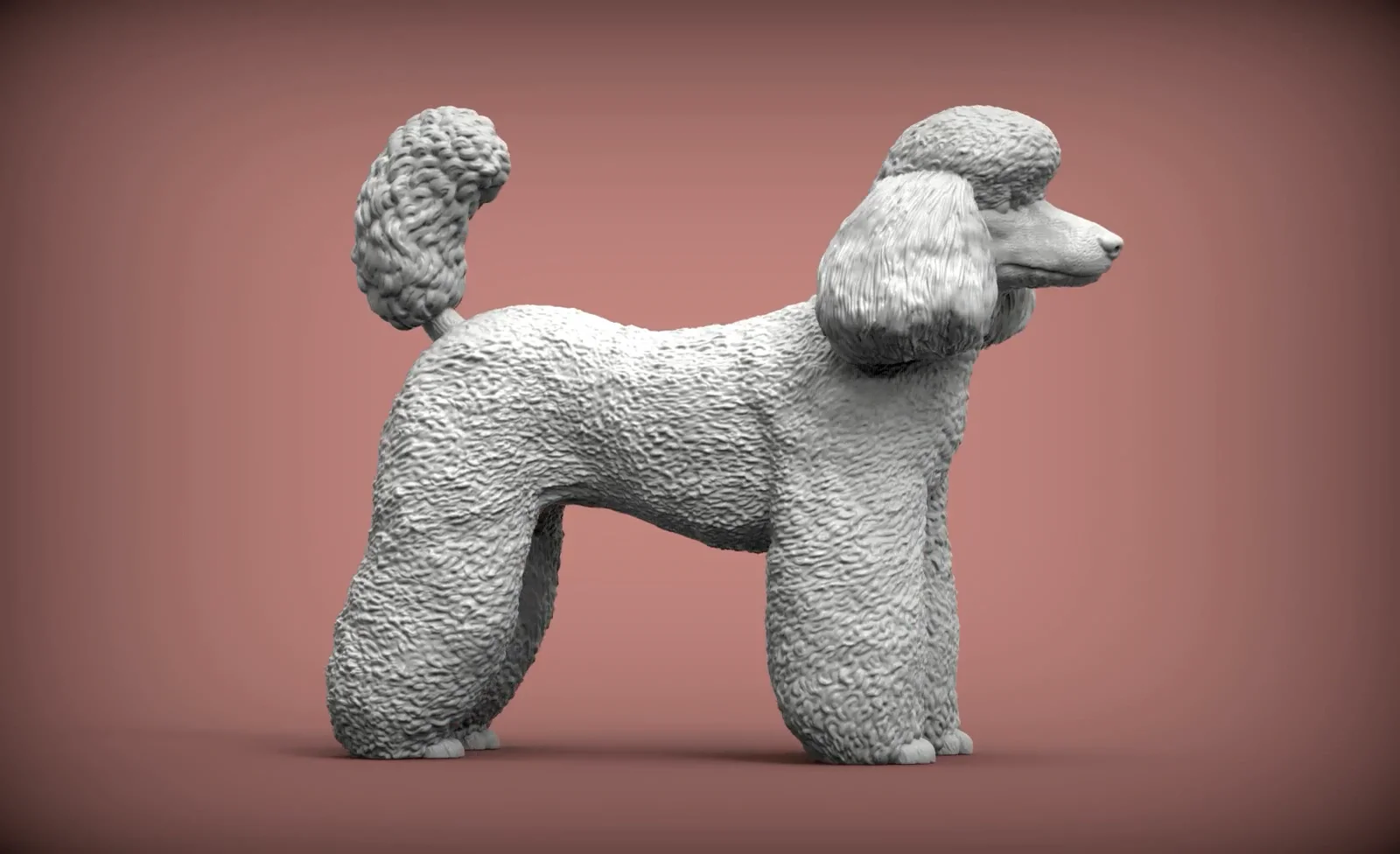 Toy poodle 3d print model 3d print model on vimeo