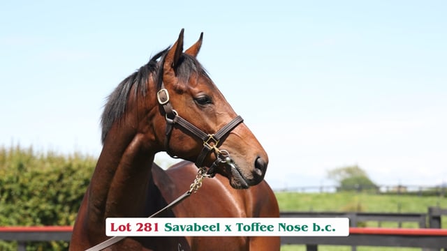 Lot 281