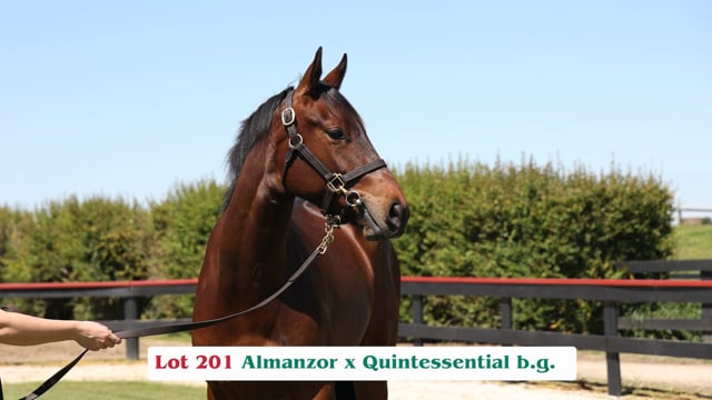 Lot 201