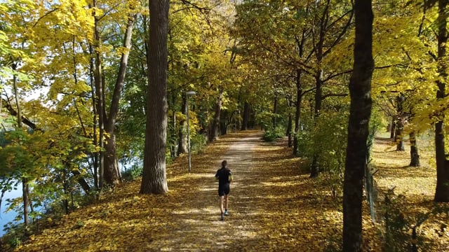 Um homem correndo em um caminho na floresta