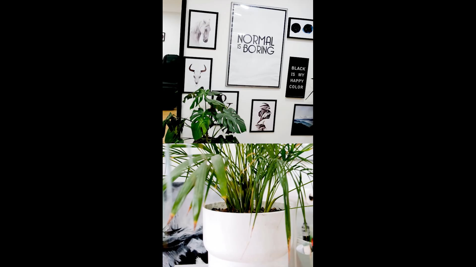 PRUVA INK TATTOO STÜDYO