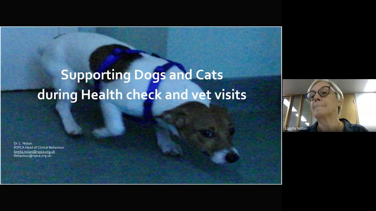 Behaviour CPD session - Supporting dogs and cats during health checks and vet visits.mp4 - Lorella Notari