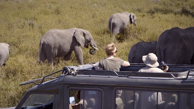 africa tours and safaris