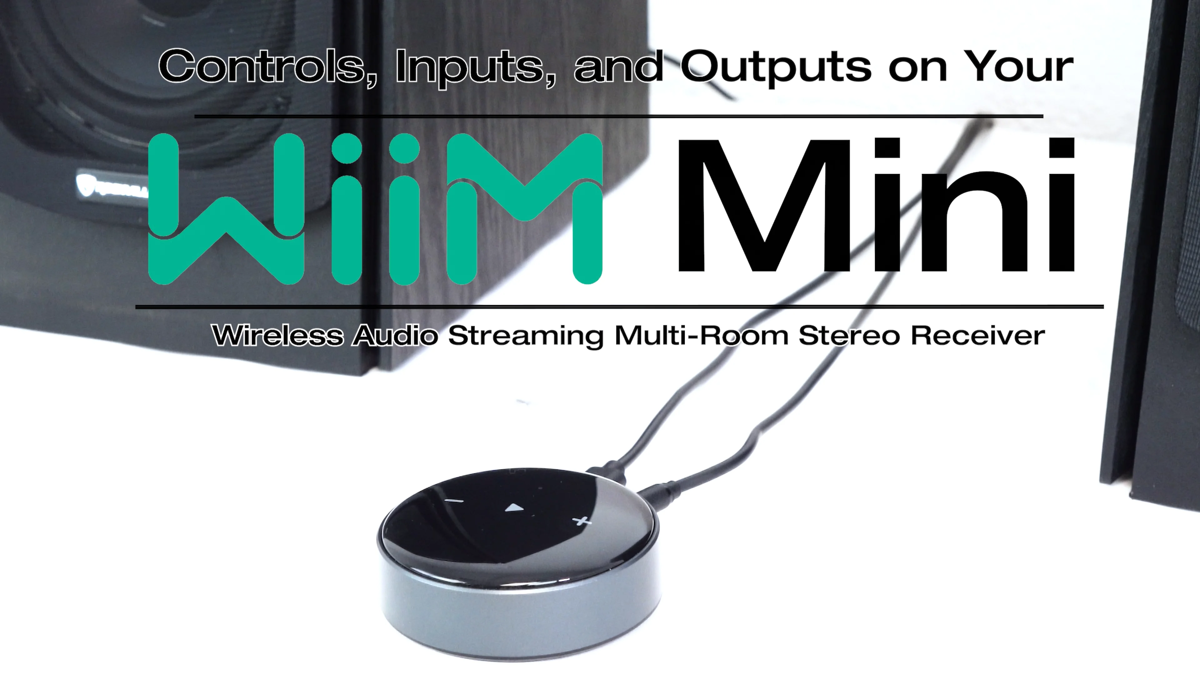 WIIM MINI: Controls, Inputs & Outputs – Rockville Audio