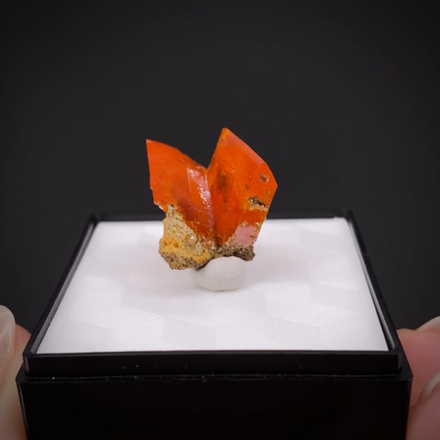 Wulfenite - SCH-205 - Red Cloud Mine - USA Mineral Specimen